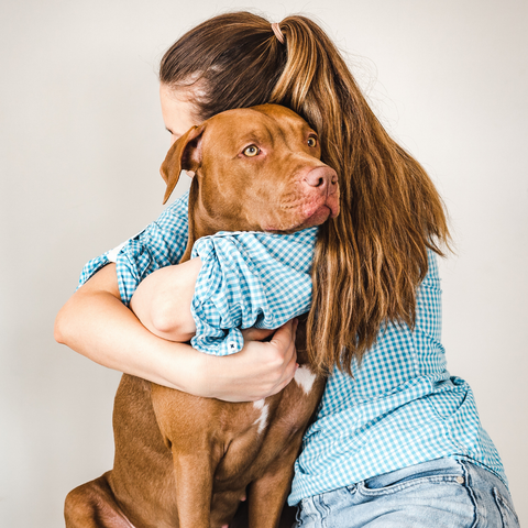 a woman hugging her pit bull