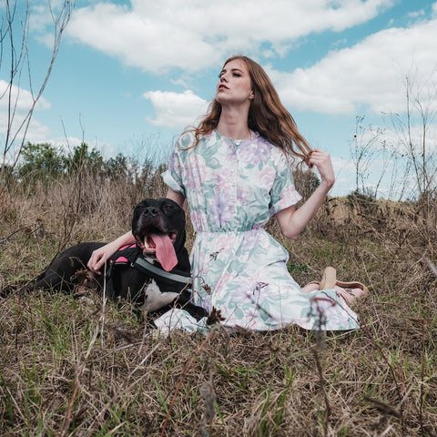 a pitbull enjoying the company of his owner