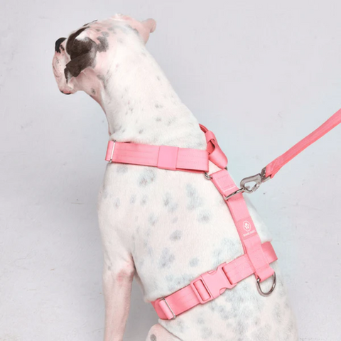 Sparkpaws anti pulling harness in pink