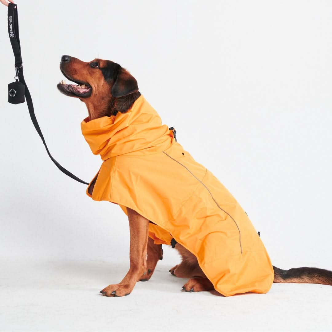 Breatheshield Dog Raincoat (Multi-Color)