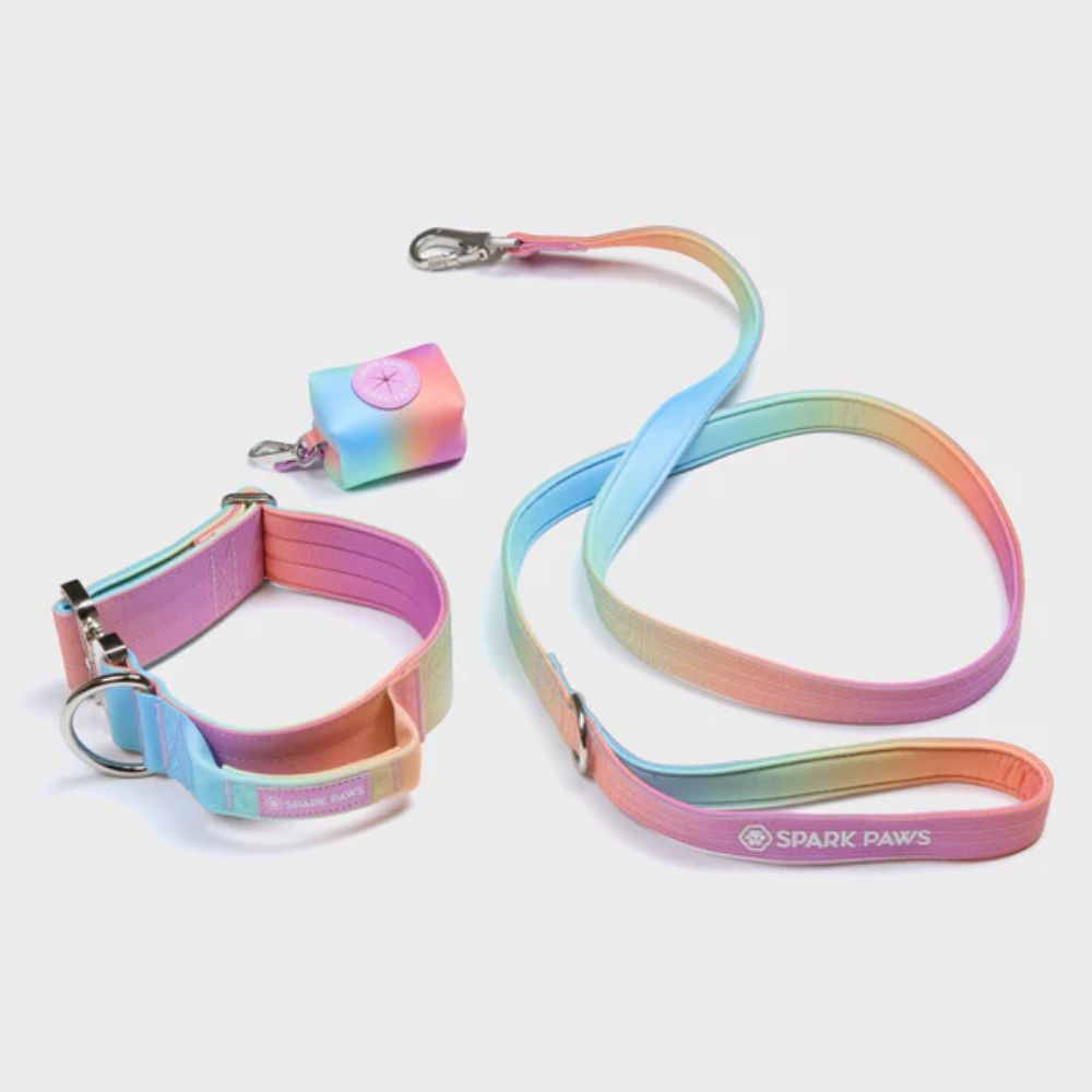 Sparkpaw's Comfort Control Collar Set