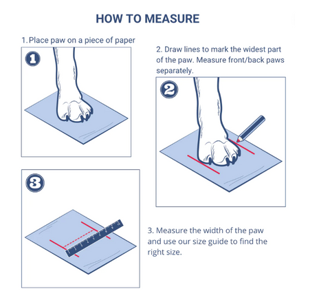 How to measure your dogs paw