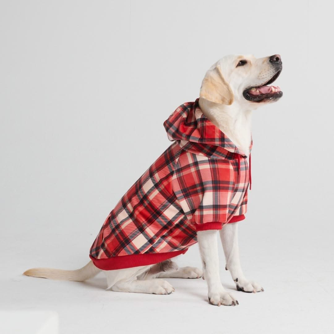 Red Plaid Dog Hoodie