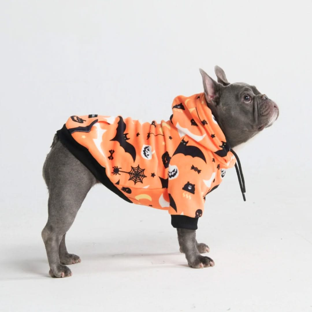 Halloween Dog Hoodies (Limited Edition) - SPARK PAWS product image