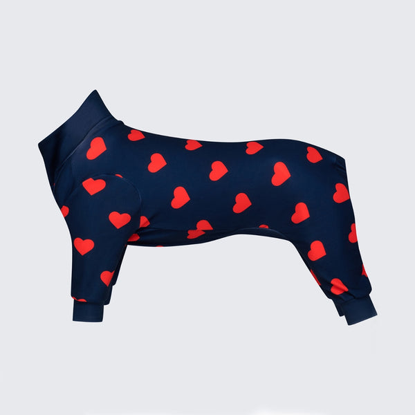 Dog Pajama - Bear Black – SPARK PAWS