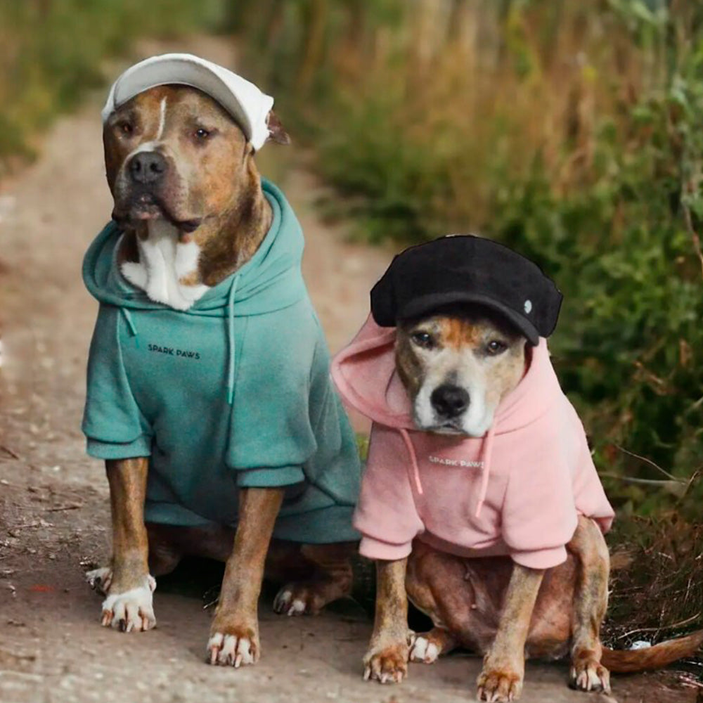 Dogs wearing Sparkpaws Hoodie