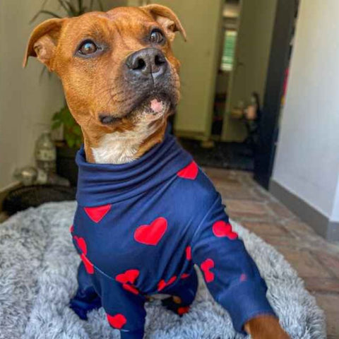 a dog with a cold wearing pajamas
