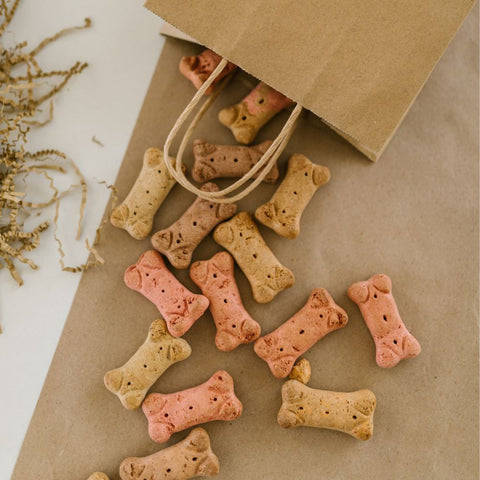 a bag full of homemade dog treats