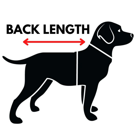 a sketch of a dog showing the back measurement for a jacket