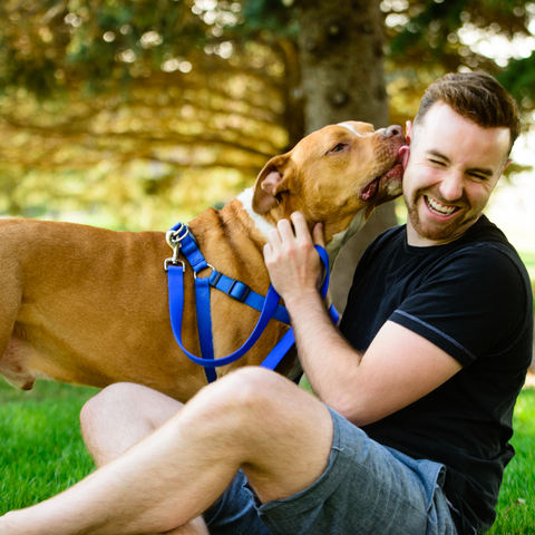 a man playing outside with his pit bull