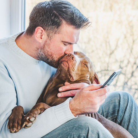 a man affectionately kissing his pitbull