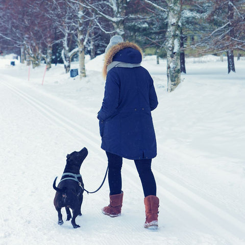 a lady walking her pit bull in the snow