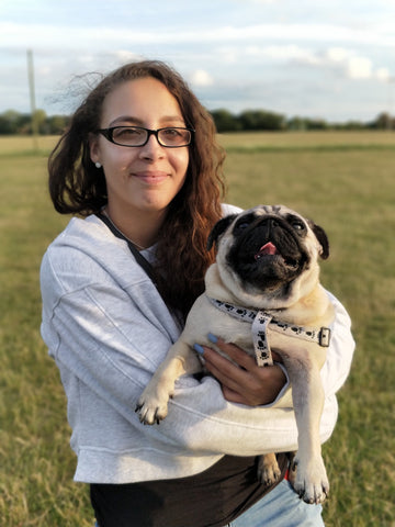 pugs loving affectionate