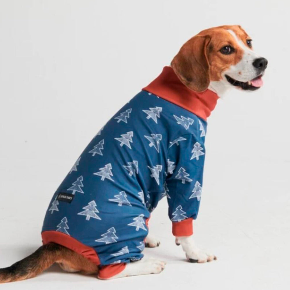 A seated puppy wearing Sparkpaws Dog Pajama