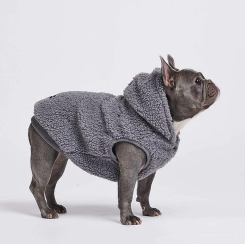 French bulldog in a grey Sparkpaws jacket