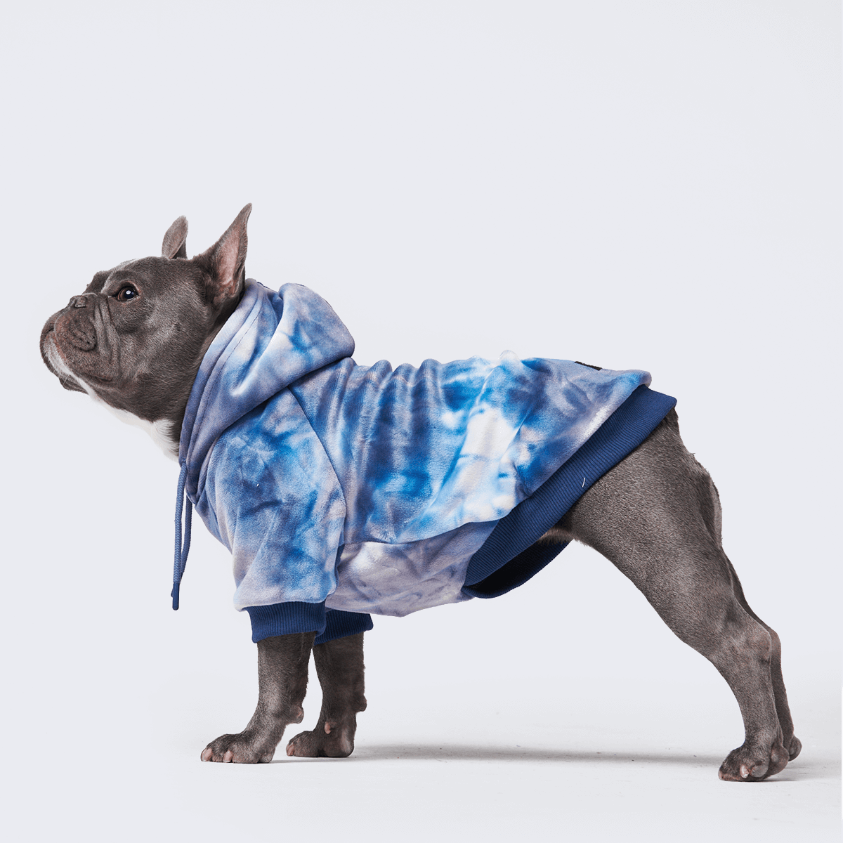 Velvet Dog Hoodie - Sapphire Blue