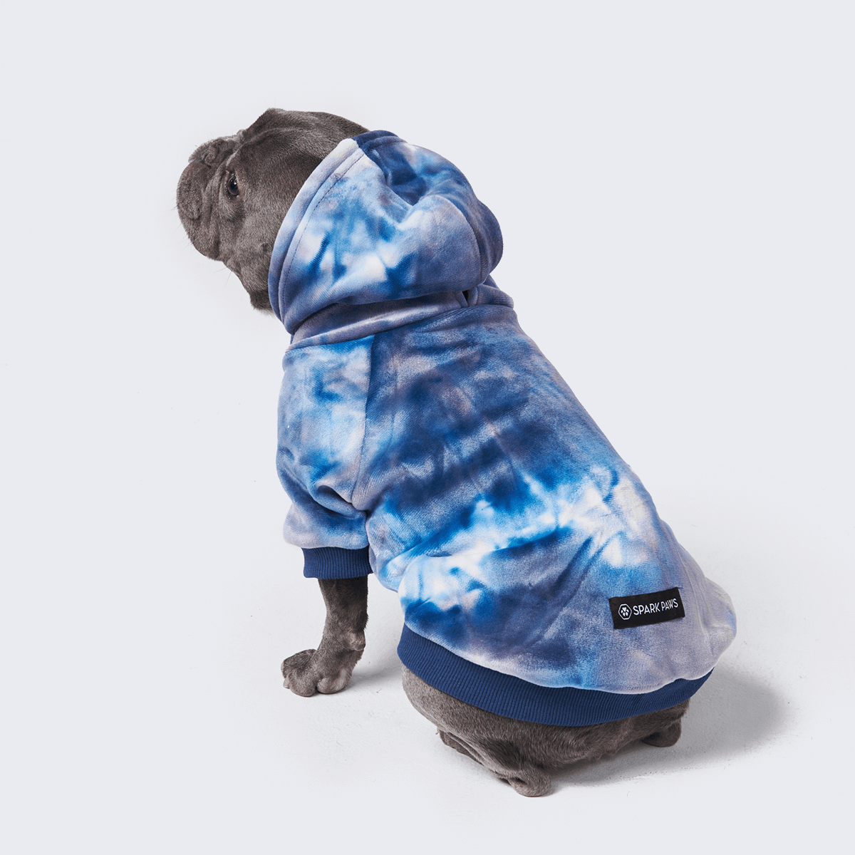 Velvet Dog Hoodie - Sapphire Blue