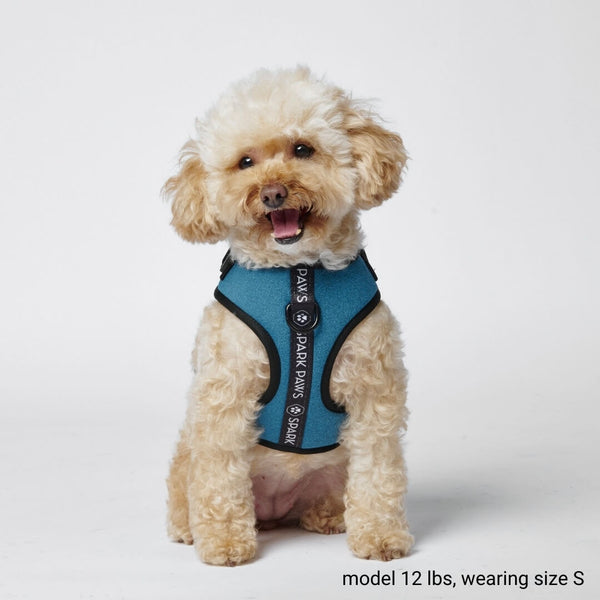 SHOP ALL  Dog Clothes, Harness, Chains, Accessories, Matching & More –  SPARK PAWS