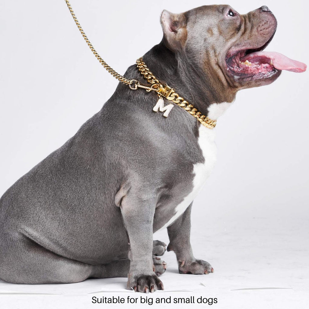 gold choker dog collar