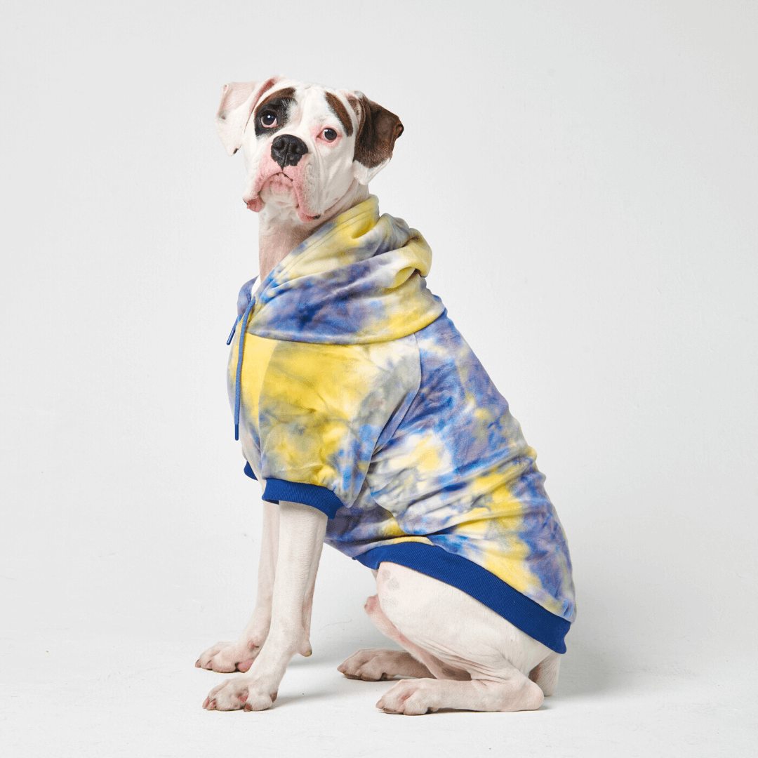 Velvet Dog Hoodie - Nova