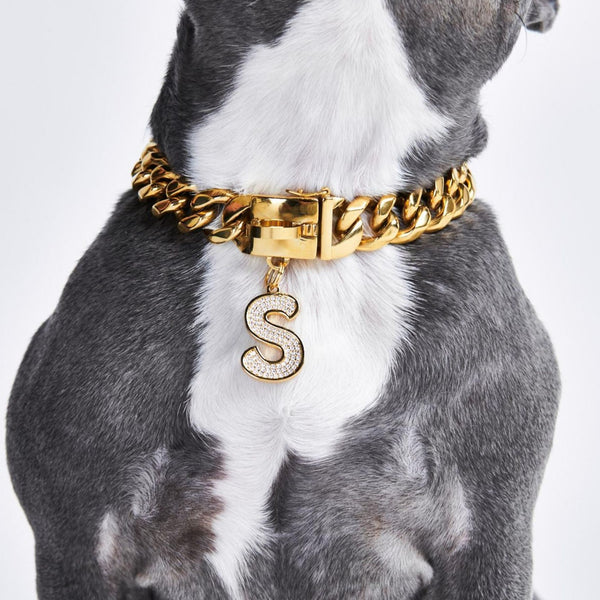 Gold Initial Letter Jewelry Tag for Dogs - R – SPARK PAWS