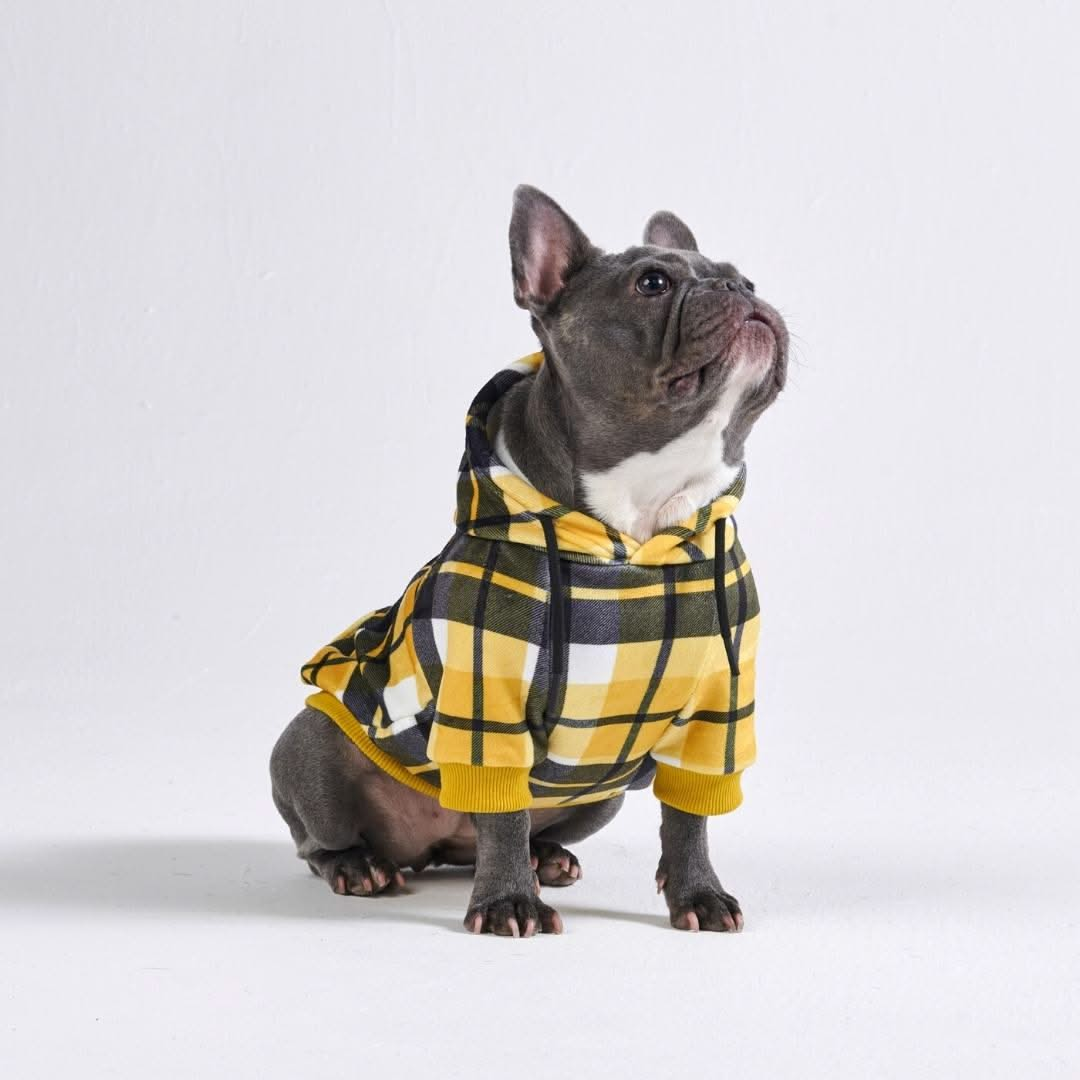 Yellow Plaid Dog Hoodie