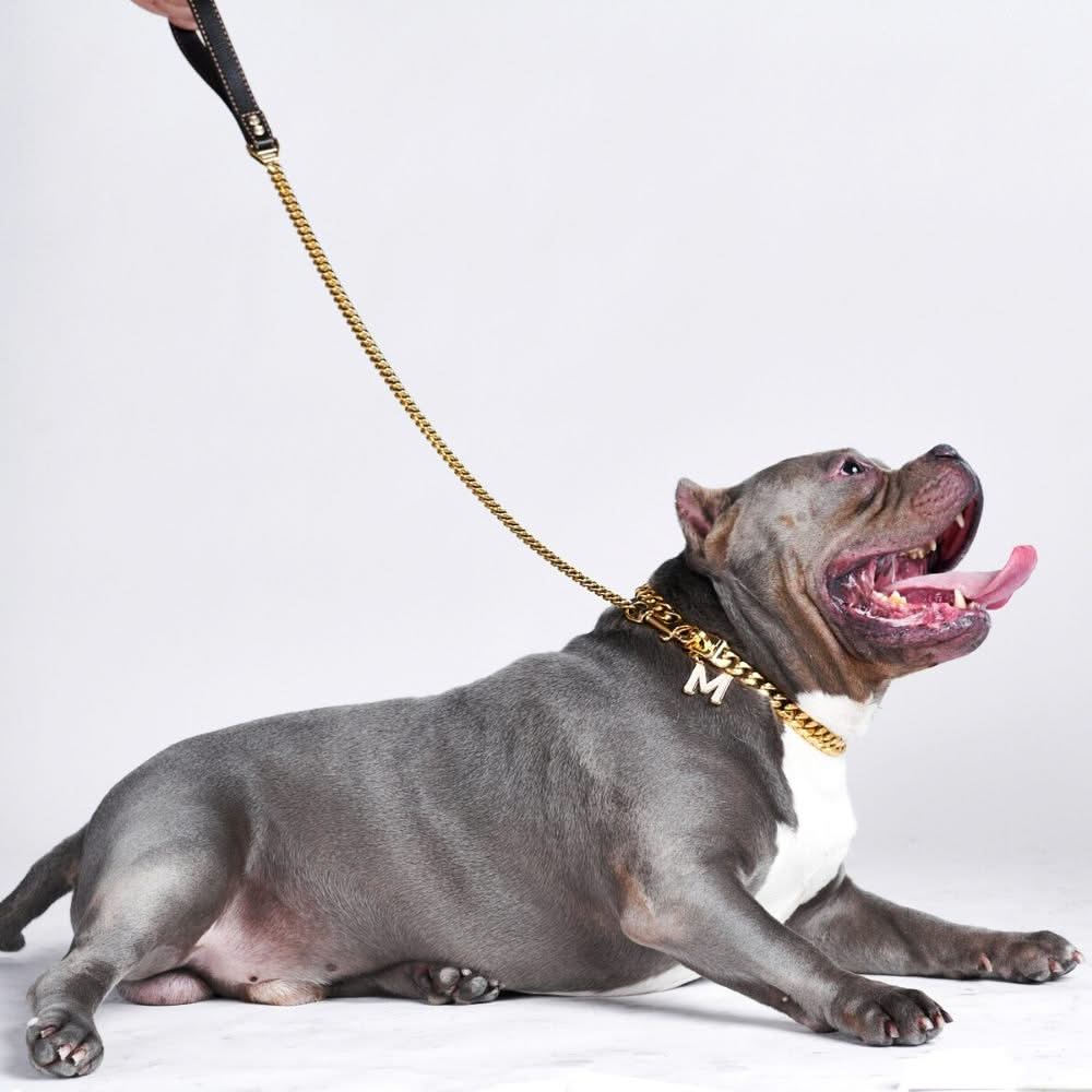 Image of Cuban Link Gold Dog Leash