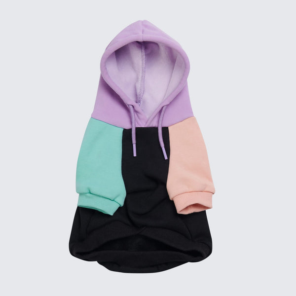 Purple Teal Mango Black Color-block Human Hoodie (Dog Matching 