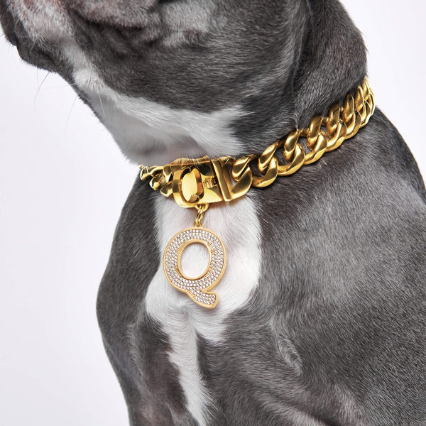 Black and Gold Magic HP Luxury Dog Collar and Leash Set With 