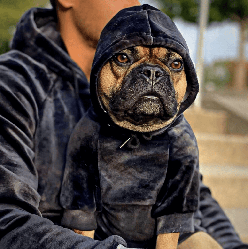 velvet dog hoodie