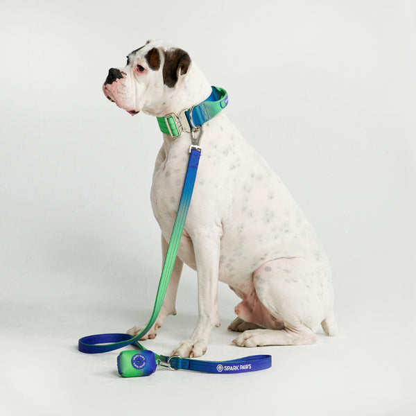 Tactical Dog Collar Set - Lilac (2/5cm) – SPARK PAWS
