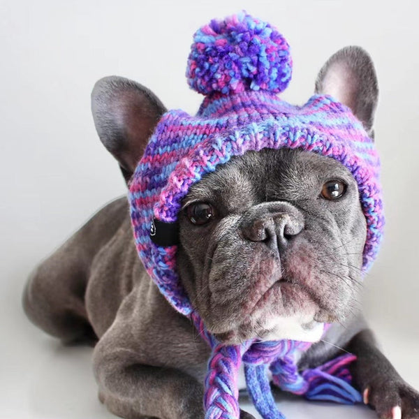 Chapeau d'hiver en tricot pour chiens – SPARK PAWS