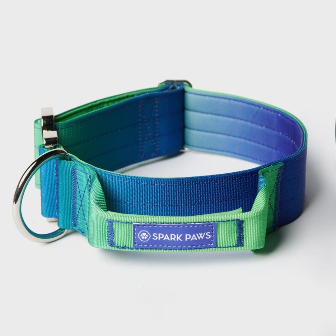 Image of Comfort Control Collar - Lime Wave