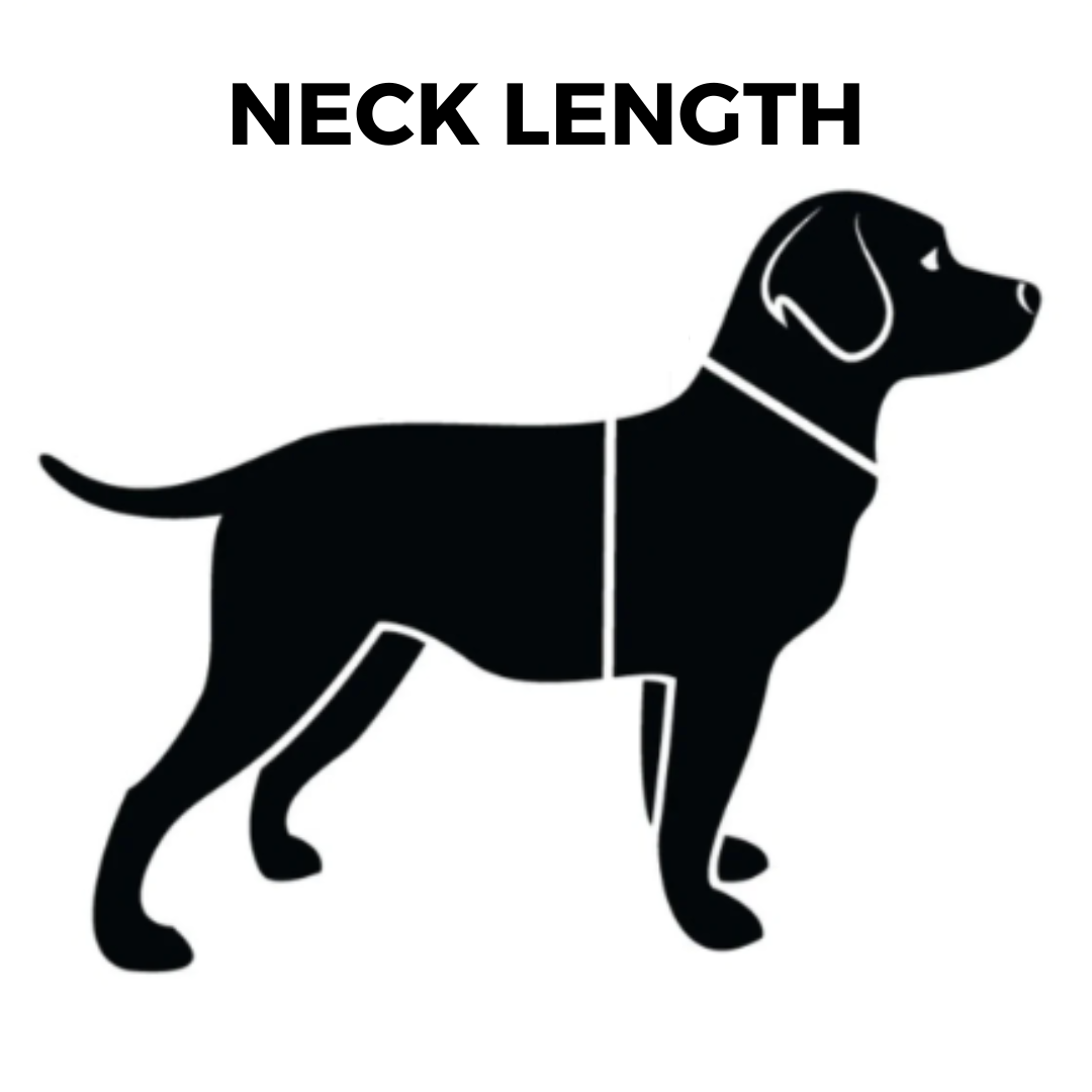 NECK LENGTH