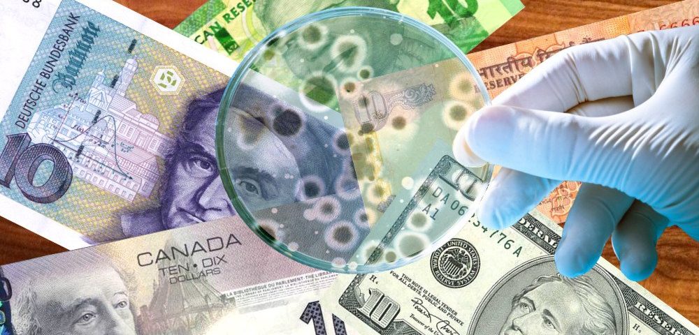 How Much Bacteria is on Money