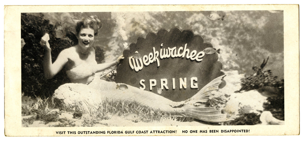 vintage brochure advertising weeki wachee springs 1949