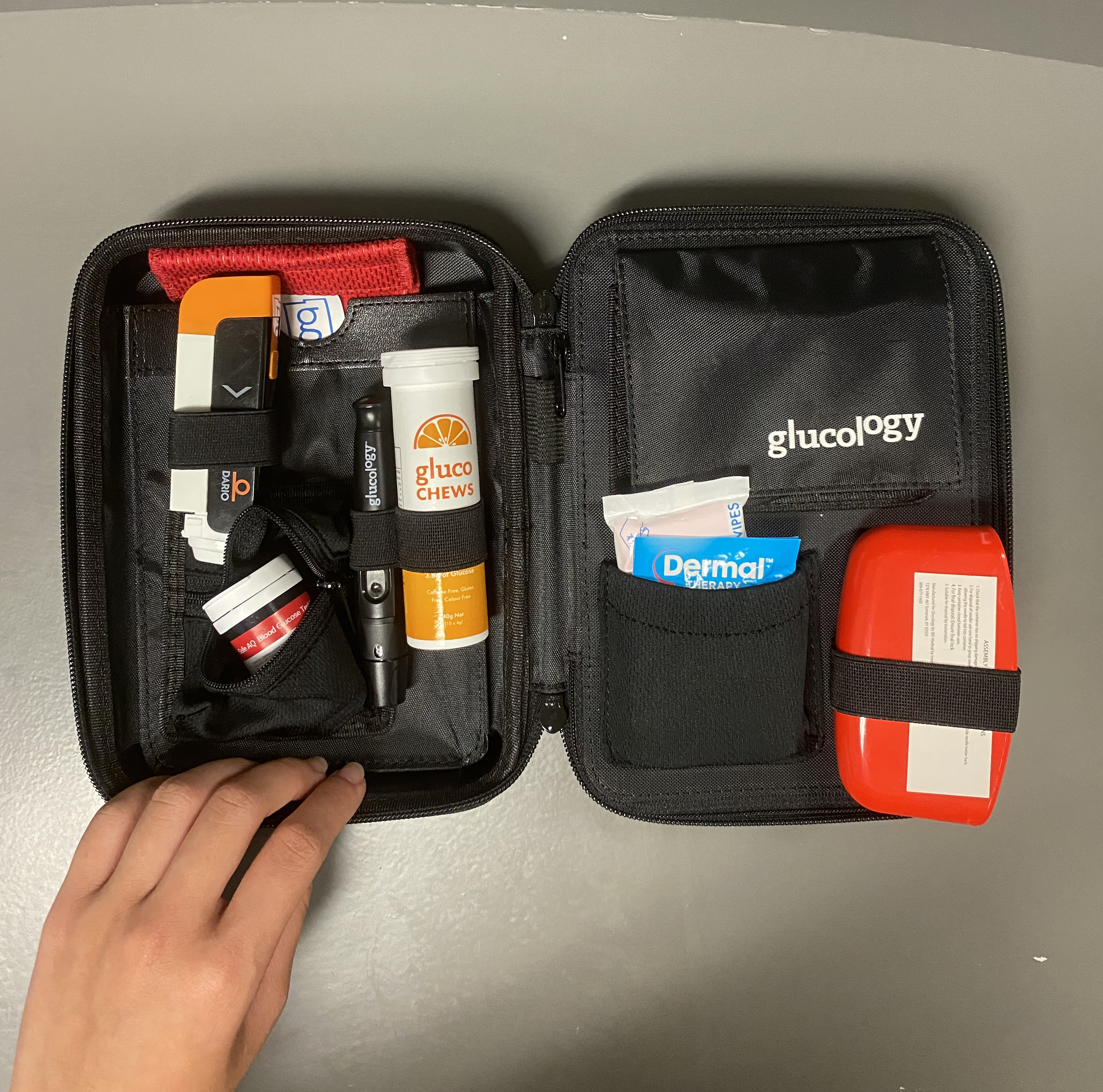 Diabetes Travel Case