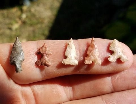 bird point arrowheads