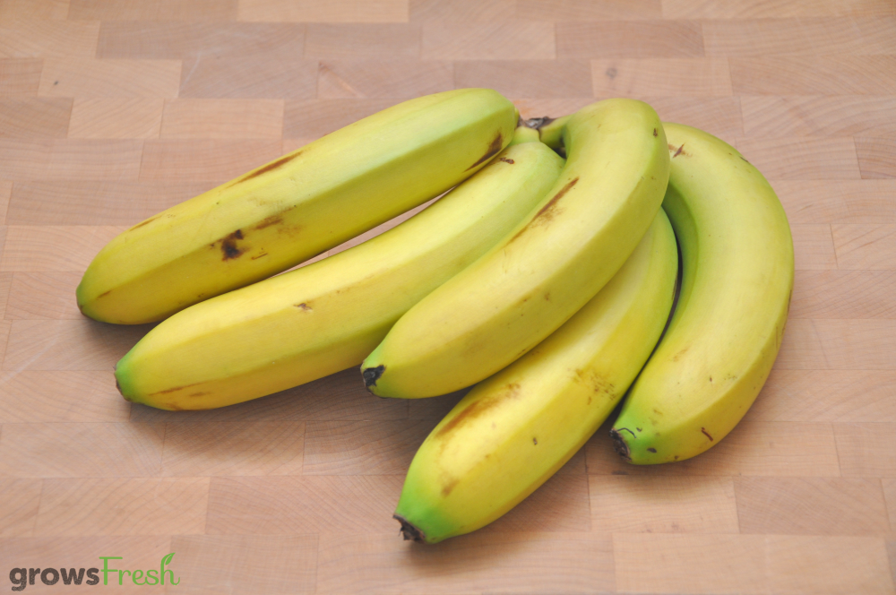 Organic Bananas - Australian growsFresh