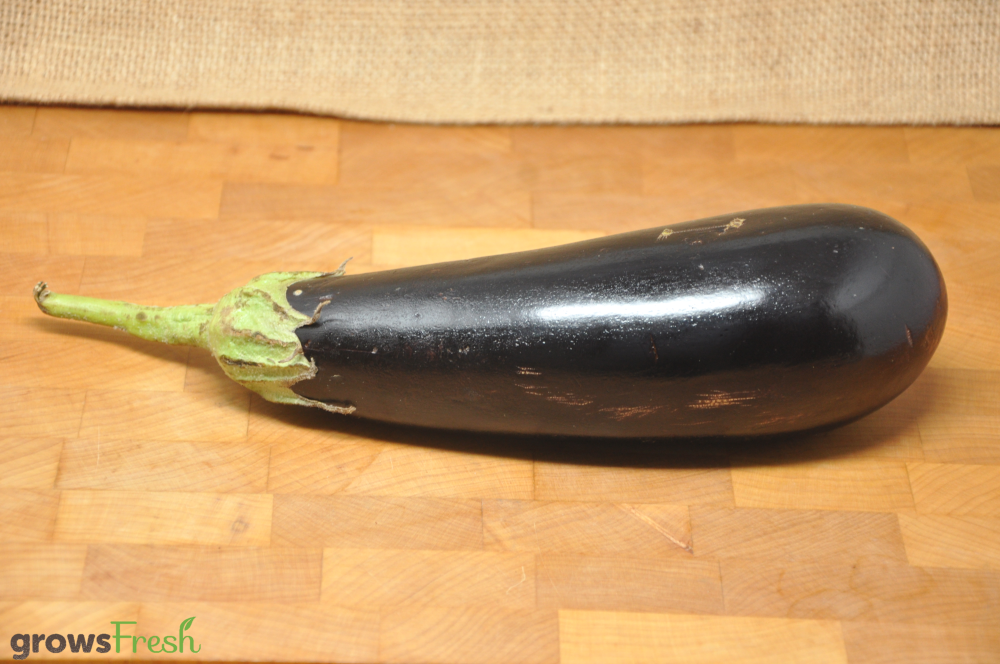 Organic Eggplant - Australian growsFresh