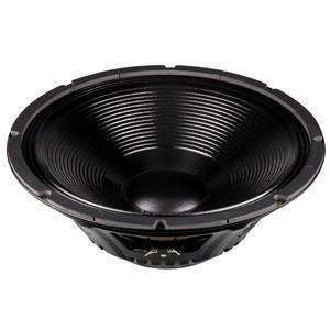 p audio 15 inch 300 watt speaker