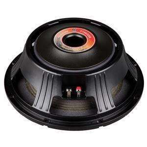 p audio speaker 600 watt 15 inch