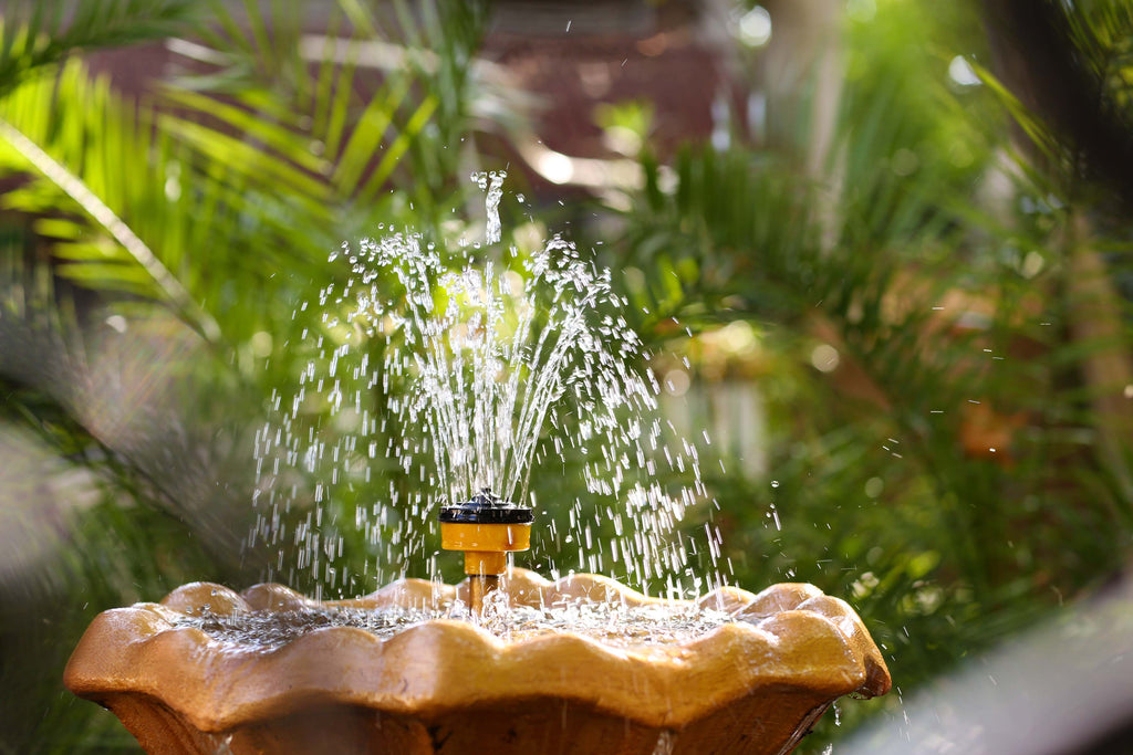 water feature 