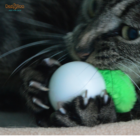 declawing-cats