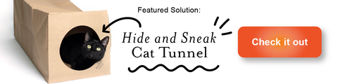 Hide and Sneak cat tunnel