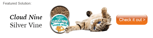 featured solution Cloud Nine silvervine for cats