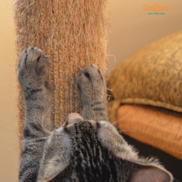 tabby cat front paws scratching on a sisal scratch post