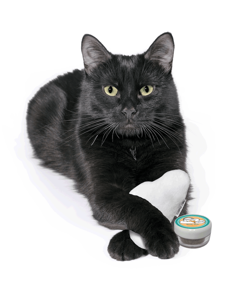 black cat holding cloud nine toy and silvervine tin