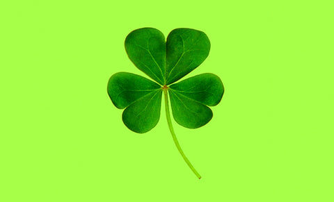 Lime green background with traditional shamrock - Saint Patrick's Day background