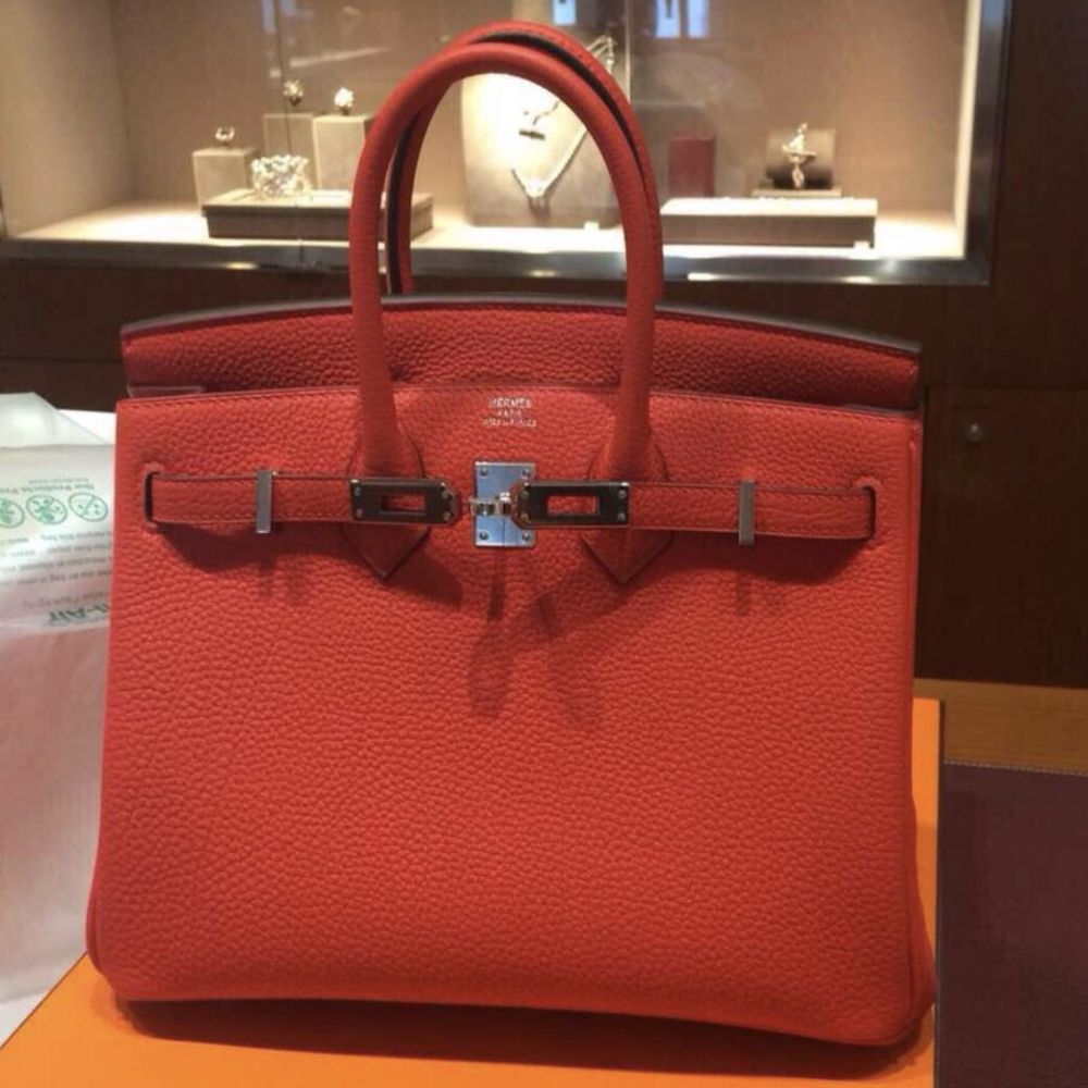 Hermes Birkin 25 Capucine Togo Palladium Hardware #X - Vendome